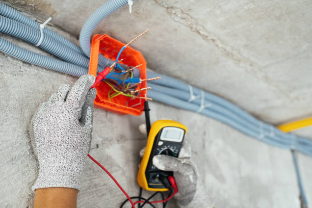 Best Electric Panel Repair  in Malvern, IA